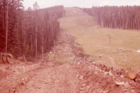 1963 Clearing for the T-Bar August