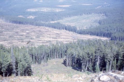 1963