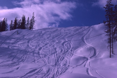 1966 February Powder