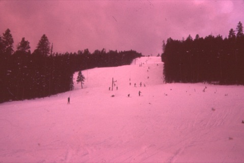 Hall-O Poma