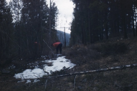 A photograph of undated year — Harlan Cory Collection