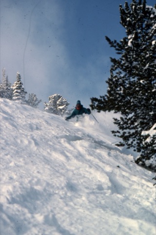 1989 Skier on a Black Diamond
