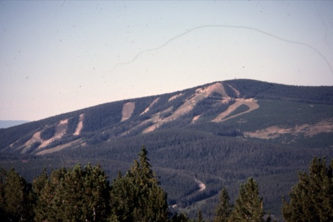 1992 Showdowm as viewed from King's Hill