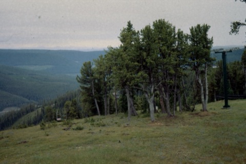 1993 Top Rock Construction 2