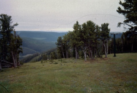 1993 Top Rock Construction 5