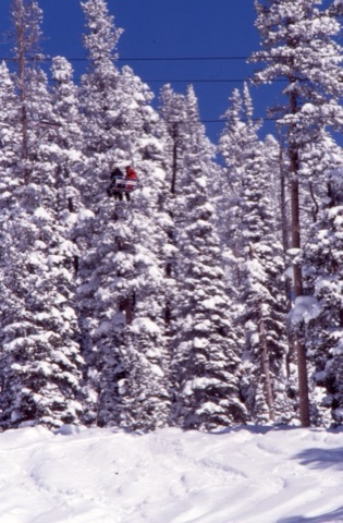 Date Unknown? Skiwes on lift with fluffy snow trees