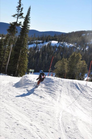 2014 Freestyle Team and Team Extreme Facebook Post from 01-26-2014