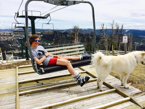2015 National Dog Day 2015 Facebook Post from 08-26-2015