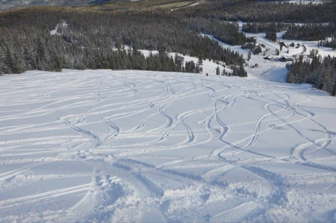 2015 Opening Weekend at Showdown! Facebook Post from 12-11-2015