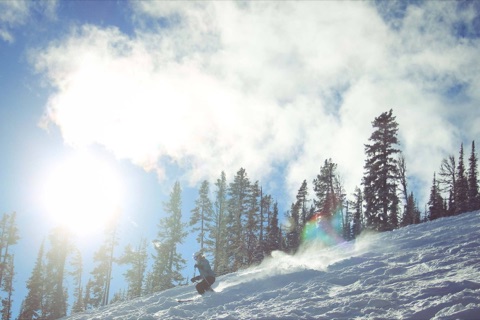 2015 Opening Weekend at Showdown! Facebook Post from 12-14-2015