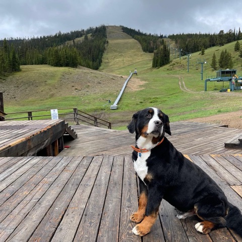 2021 Archie Boedecker — The base area Facebook Post from 06-20-2021