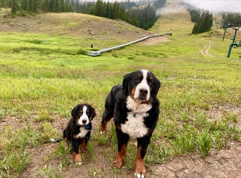 2021 Archie Boedecker, Junior Boedecker — The base area Facebook Post from 08-18-2021
