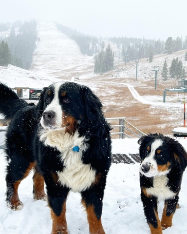 2021 Archie Boedecker, Junior Boedecker — The Lodge Deck — First Snow! Facebook Post from 10-11-2021
