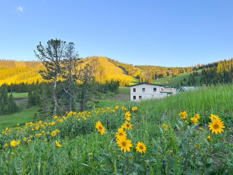 2022 Luke Jaraczeski — The base area — Flowers and the Mountain Facebook Post from 07-16-2022