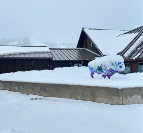 2024 The T-Bar — Summer Snow Facebook Post from 06-18-2024