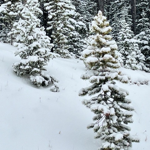 2024 The base area — First Snow! Facebook Post from 11-05-2024