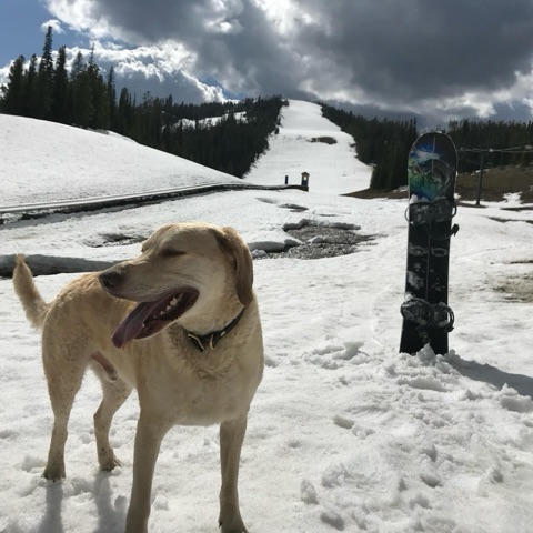2025 The base area — Surf Dog Facebook Post from 03-30-2025