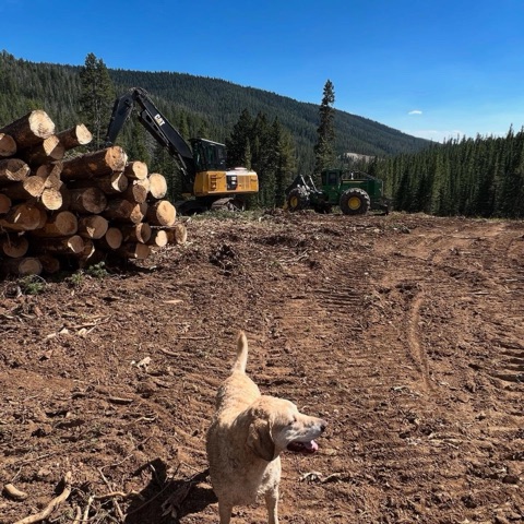 2025 marshall korslien — Unit 8 — Timber Work Facebook Post from 03-30-2025