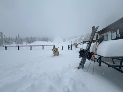 2025 marshall korslien — The Lodge Deck — Post season powder! Facebook Post from 05-05-2025