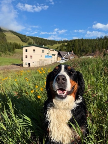 2025 Emmy Boedecker — The base area — Summer Flowers Facebook Post from 07-23-2025