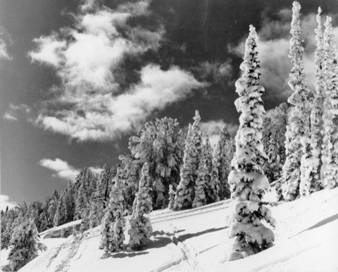 1956 Ray Ozmon scenic winter scene - Donated by Ray Ozmon