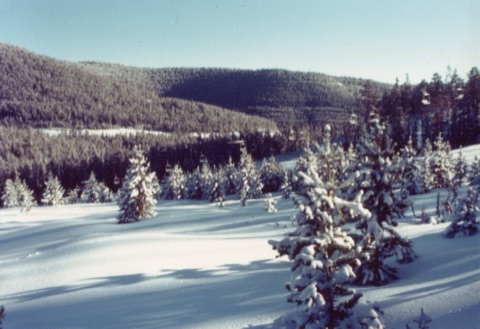 1982 June Snowfall