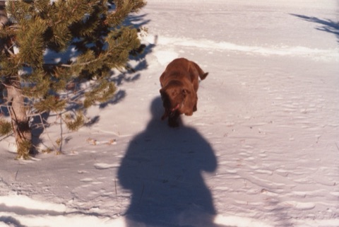 1990s Tank in snow