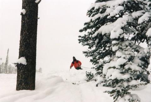 A photograph of undated year — Dave Elmquist Collection