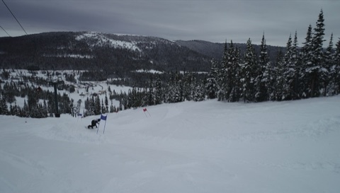 Banked Slalom