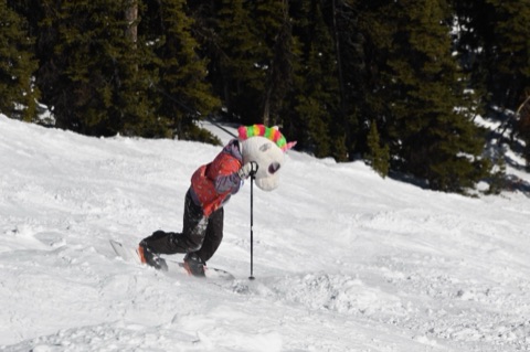 2021 Unicorn on a Snowboard