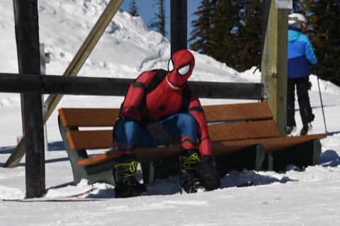 2021 Spiderman on the bench