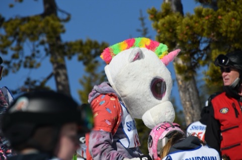 2021 Unicorn on event day
