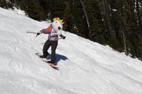 2021 Unicorn on a Snowboard