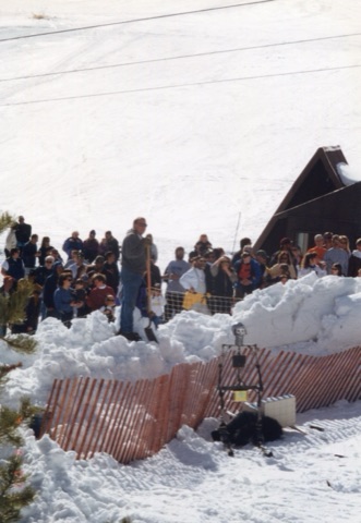 1999-2000 Diane Carter Collection