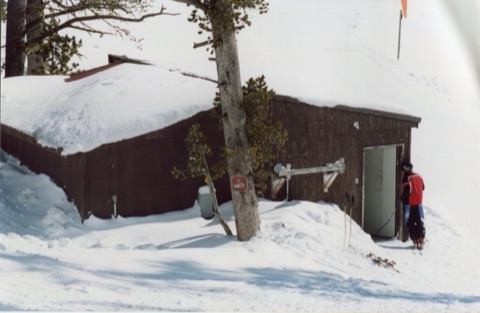 2004 Diane Carter Collection