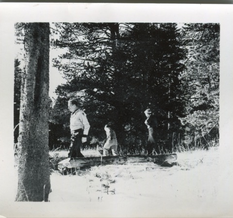 1938 Tree Clearing, Building at King's Hill