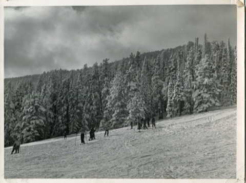 1939 Lillian Willcomb Photo