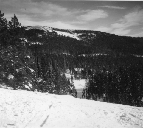 1940s Down a cut run to a meadow