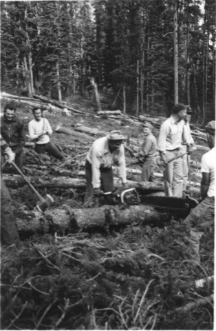 1940s-50s Summer work party with a two-man chainsaw