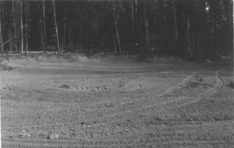 Summer, a freshly bulldozed flat with slash piles