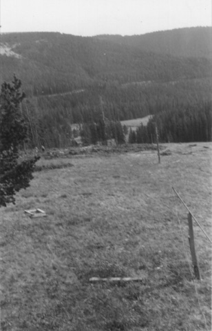 Summer, a grassy run with leaning tow posts