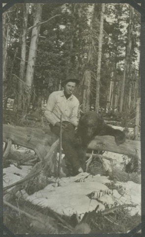 1916 A brown bear shot at the road camp