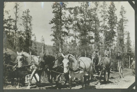 1916 Neihart Road, grading machine near Sta. 170