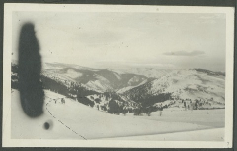 1919 Lacy Creek Project, panorama over timbered ridges