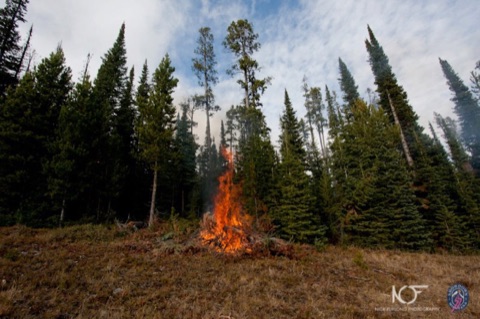 2011 Showdown Burn Piles Facebook Post from 10-11-2011