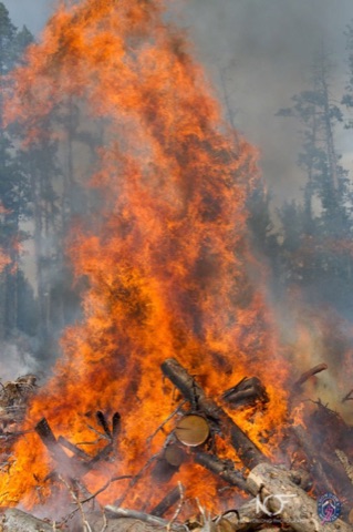 2011 Showdown Burn Piles Facebook Post from 10-11-2011