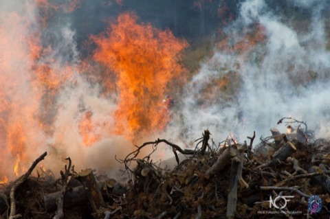 2011 Showdown Burn Piles Facebook Post from 10-11-2011