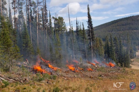 2011 Showdown Burn Piles Facebook Post from 10-11-2011