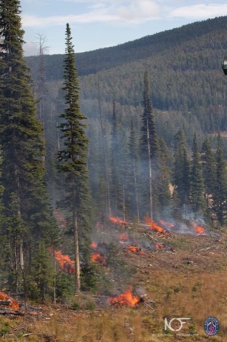 2011 Showdown Burn Piles Facebook Post from 10-11-2011