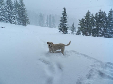 2012 After Season Snow, 24 inches overnight Facebook Post from 04-28-2012